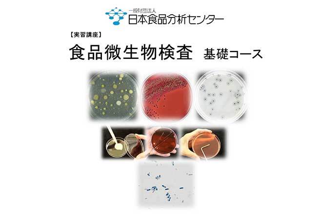 実習講座　食品微生物検査　基礎コース