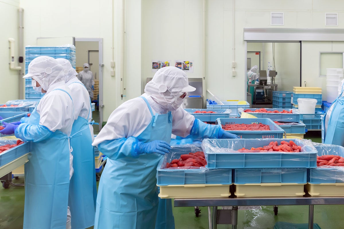 高年齢労働者への労災防止対策、2026年4月から努力義務化